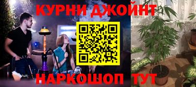прущие грибы Краснознаменск