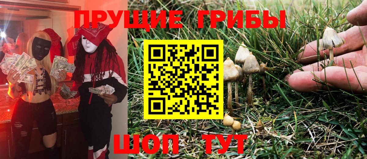 Галлюциногенные грибы MAGIC MUSHROOMS  Вход с VPN  Псилоцибиновые грибы мухоморы  Каменск-Шахтинский 